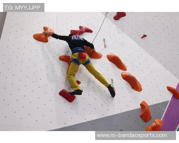 运动数据南京攀岩队创佳绩攀岩耐力排名创新高引发广泛关注与热议